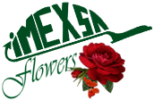 IMEXSAflowers